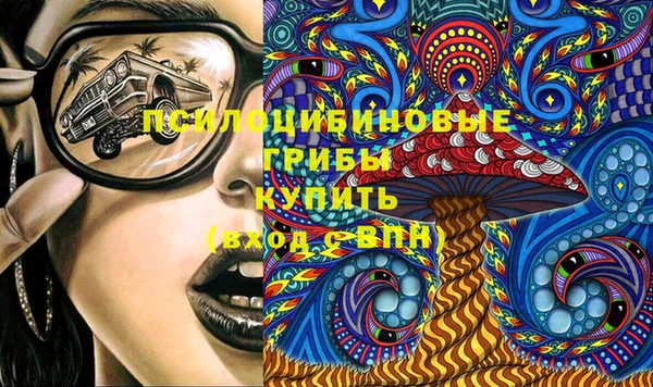 СК Осинники