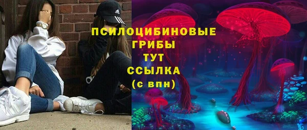 СК Осинники
