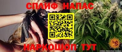 дмт Гатчина