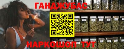 дмт Гатчина