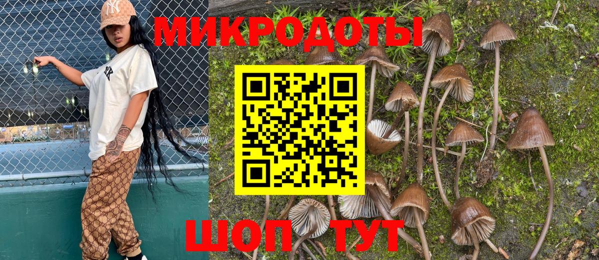 Псилоцибиновые грибы мицелий  где продают   Азнакаево 
