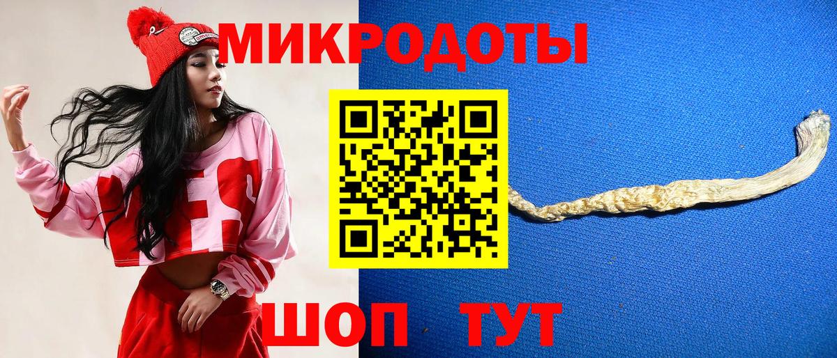 Азнакаево  продажа наркотиков  Вход с VPN  Галлюциногенные грибы Psilocybe 