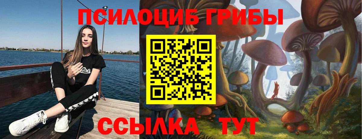 Псилоцибиновые грибы Psilocybine cubensis  Вход с VPN  Галлюциногенные грибы Cubensis  Азнакаево 