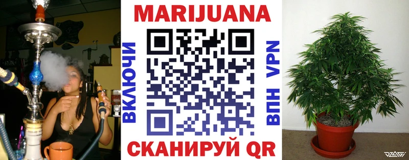 Конопля план  Азнакаево 